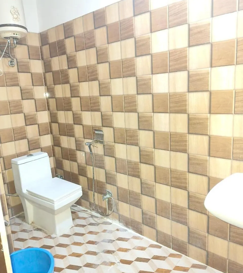 ****  Hotel Ashoka Palace Near Igi Airport New Delhi India